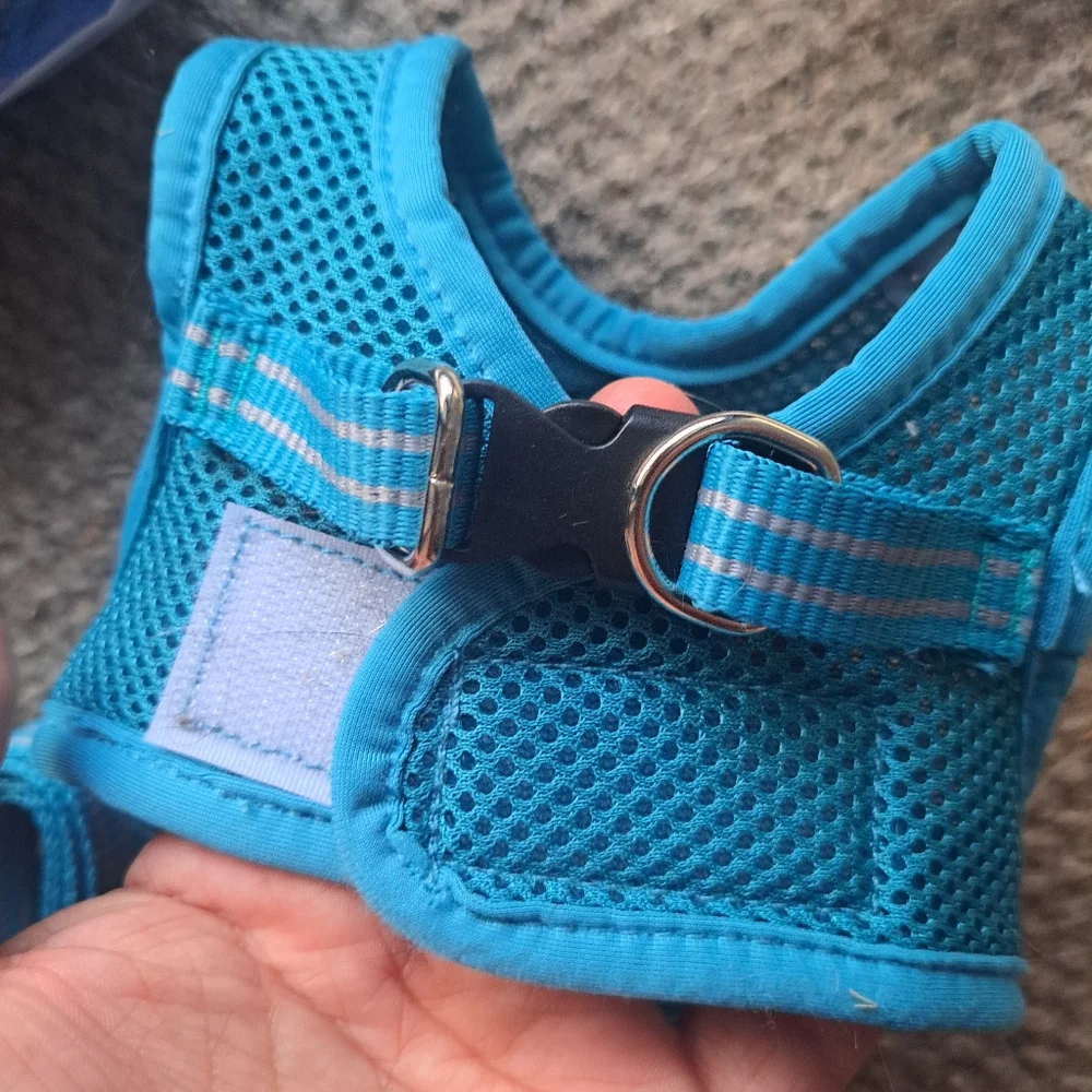 Turquoise Dotoner XS Cat/Dog Harness with Leash in package